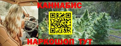 Альфа ПВП Кингисепп